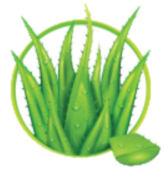 Miracle Aloe @ 2026
